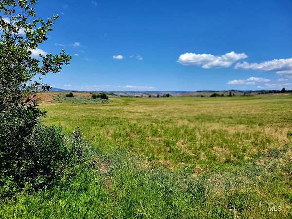 112 Acres of Agricultural Land for Sale in Council, Idaho
