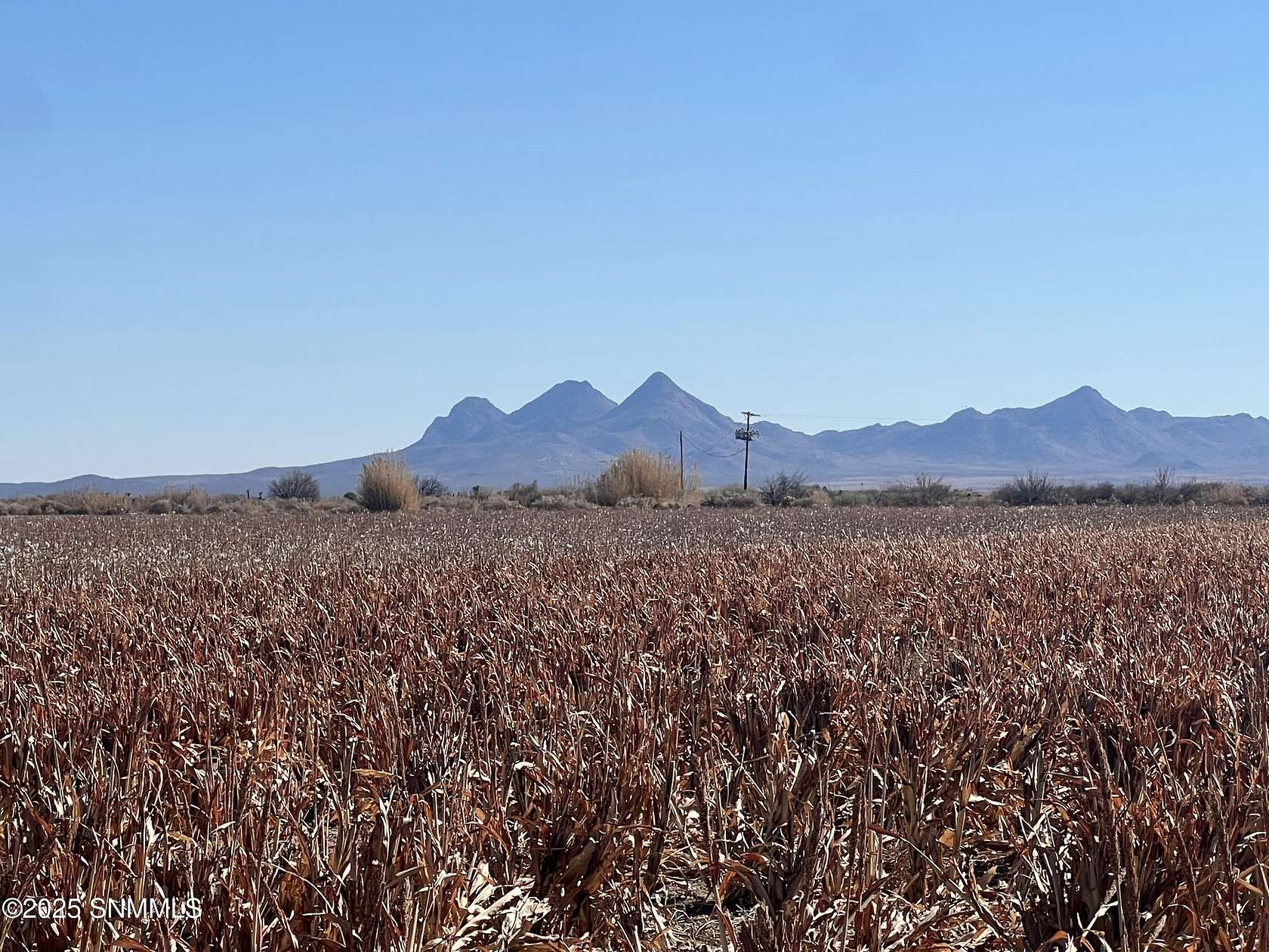 486 Acres of Agricultural Land for Sale in Deming, New Mexico