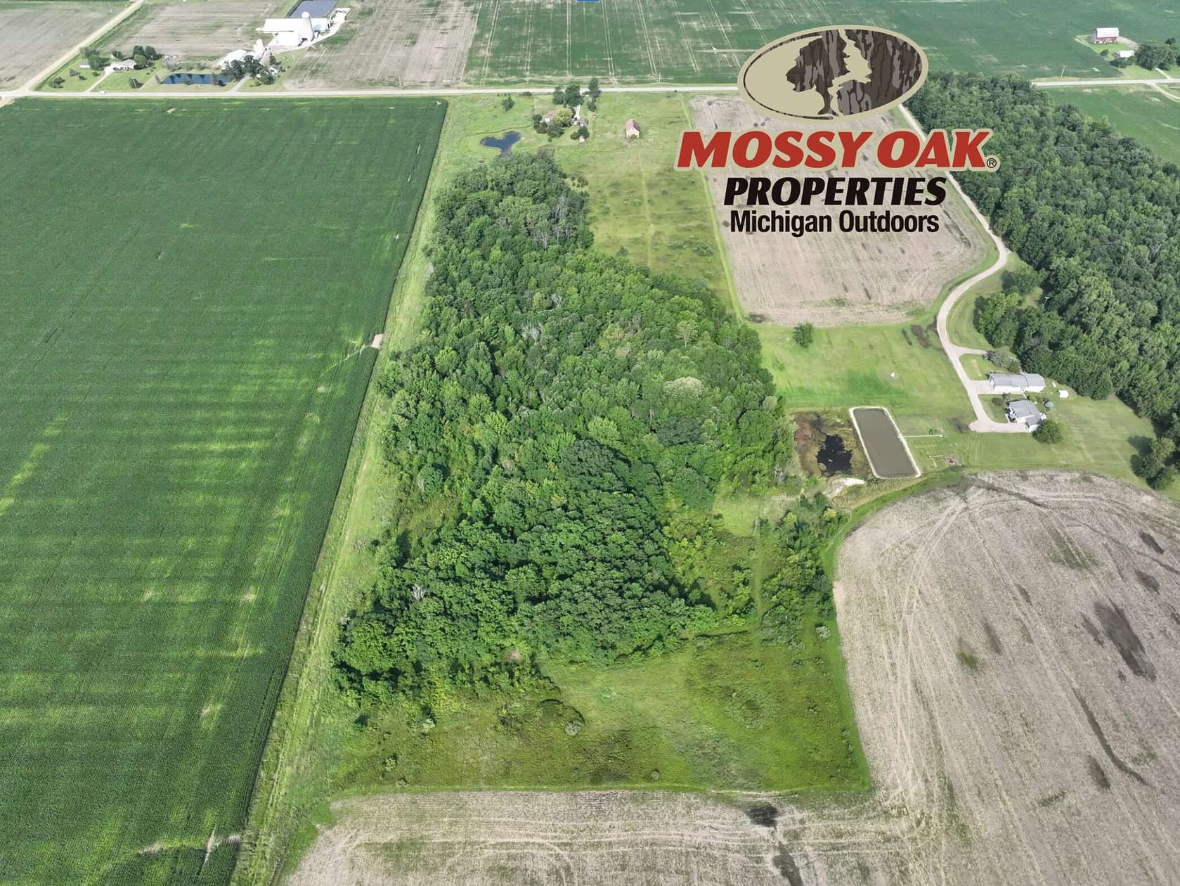 25 Acres of Land for Sale in Silverwood, Michigan