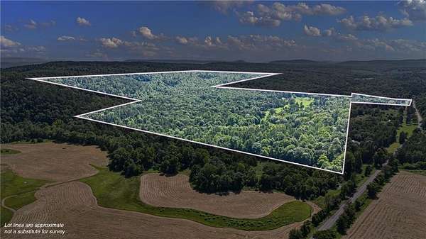 200 Acres of Recreational Land & Farm for Sale in Dover, Arkansas