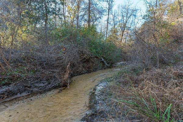 20 Acres of Land with Home for Sale in DeFuniak Springs, Florida