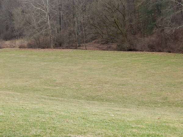 3.9 Acres of Land for Sale in Harrisville, West Virginia