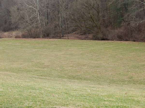 3.9 Acres of Land for Sale in Harrisville, West Virginia