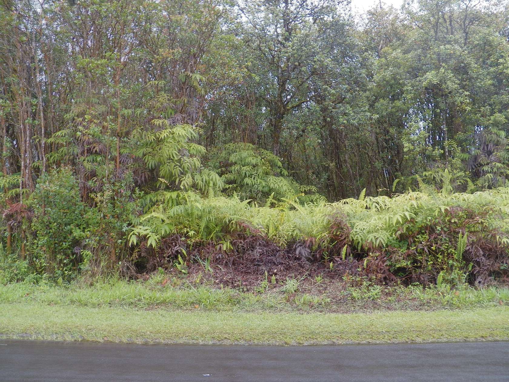 2 Acres of Residential Land for Sale in Mountain View, Hawaii