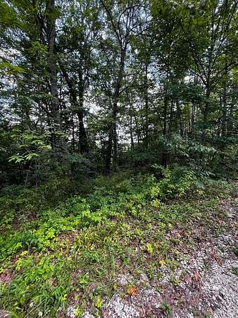 0.48 Acres of Land for Sale in Wellington, Kentucky