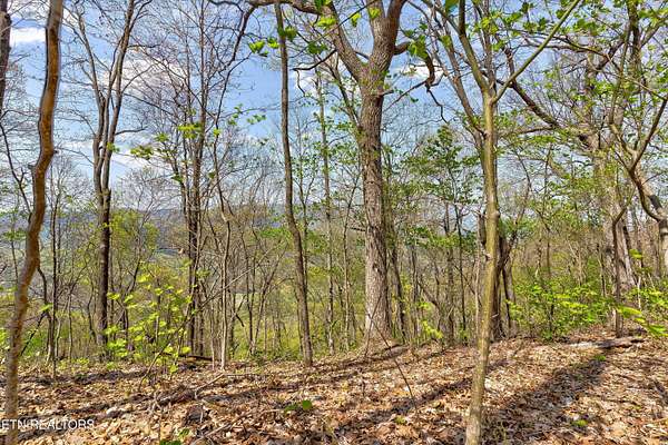 2 Acres of Residential Land for Sale in Sevierville, Tennessee