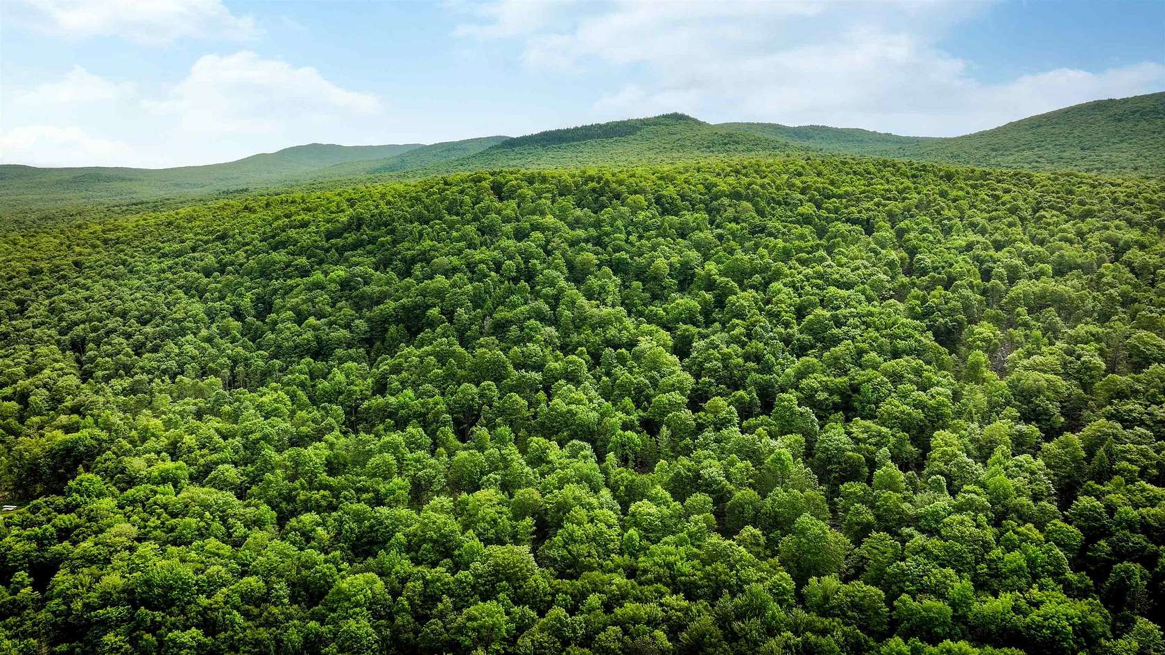 5,225 Acres of Recreational Land for Sale in East Haven, Vermont