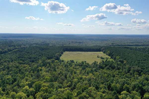 113 Acres of Recreational Land for Sale in Jacksonville, Texas