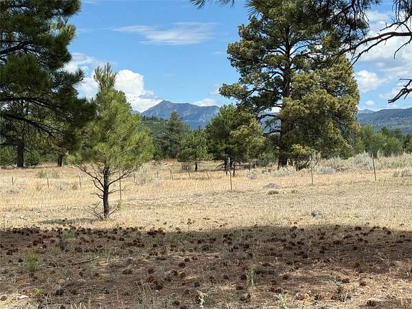 1.69 Acres of Residential Land for Sale in Chama, New Mexico