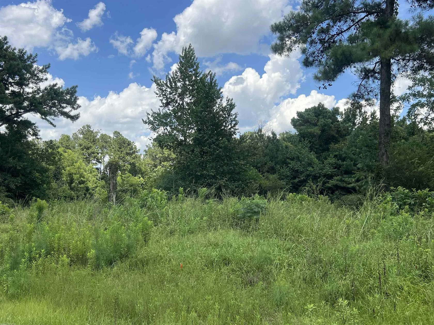 1.56 Acres of Residential Land for Sale in Havana, Florida