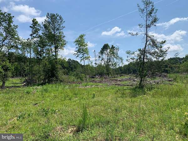 35 Acres of Recreational Land for Sale in Pittsville, Maryland