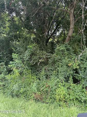 2.75 Acres of Land for Sale in Moyock, North Carolina