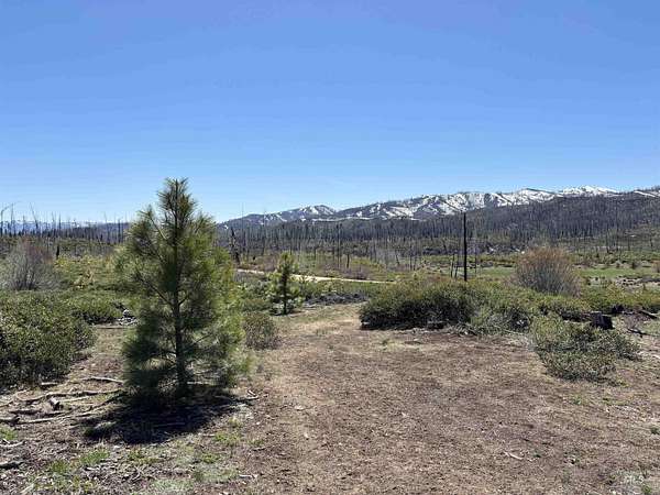 159 Acres of Recreational Land for Sale in Mountain Home, Idaho