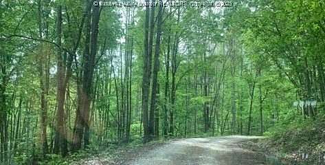 15.7 Acres of Land with Home for Sale in Harts, West Virginia