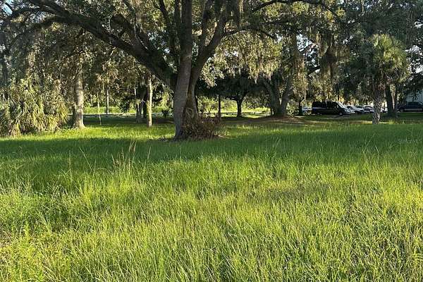 2.28 Acres of Residential Land for Sale in Kissimmee, Florida
