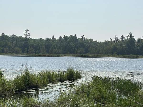 16.9 Acres of Recreational Land with Home for Sale in Skowhegan, Maine