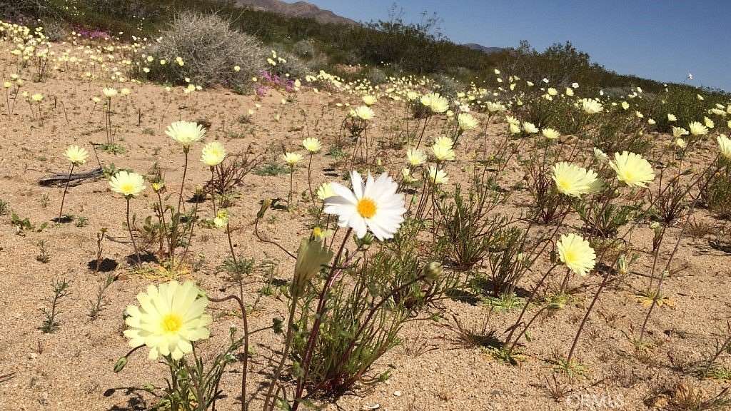 5 Acres of Residential Land for Sale in Landers, California