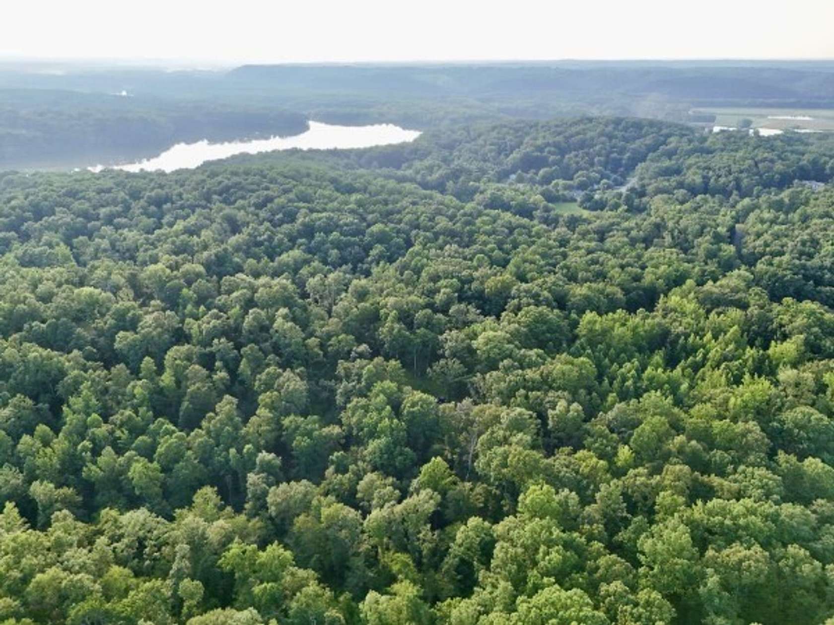 70.4 Acres of Recreational Land for Sale in Dover, Tennessee