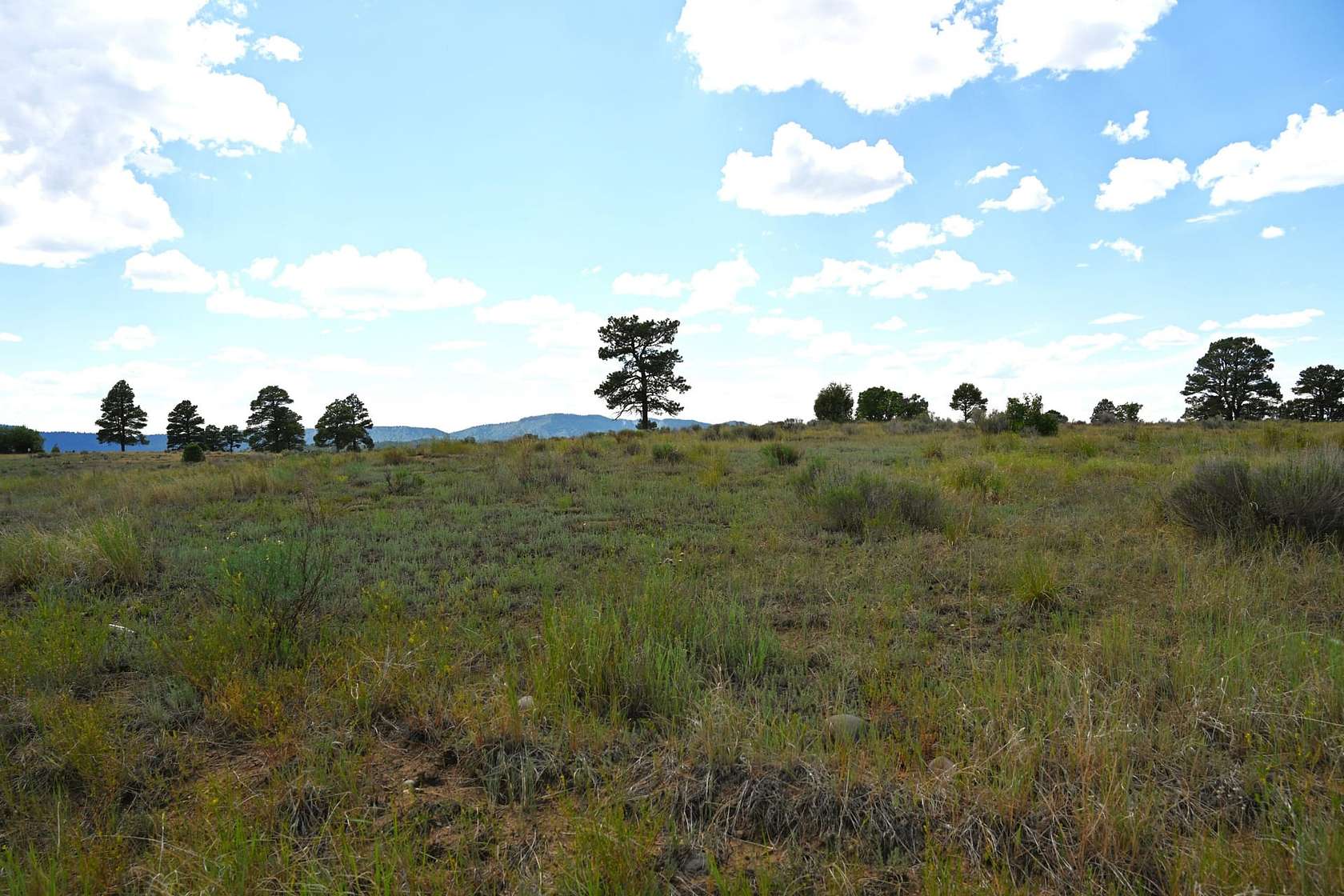 10 Acres of Recreational Land for Sale in Chama, New Mexico