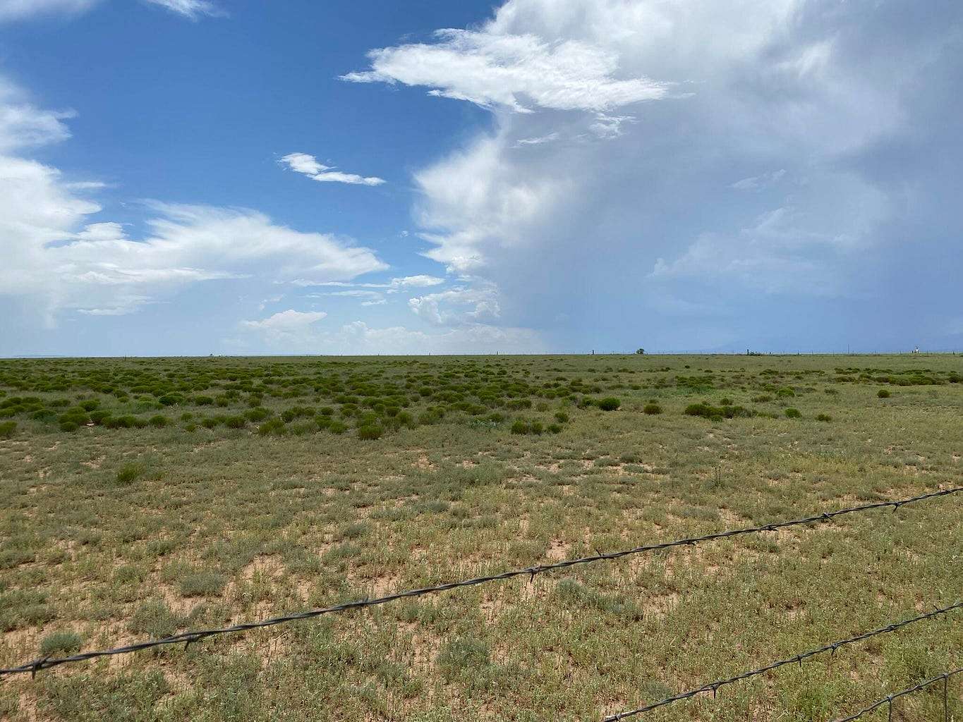 20 Acres of Land for Sale in Estancia, New Mexico