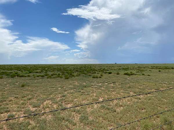 20 Acres of Land for Sale in Estancia, New Mexico