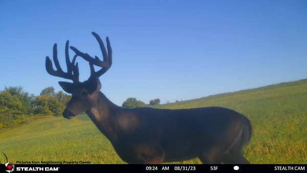 34 Acres of Recreational Land & Farm for Sale in Sylvan, Wisconsin