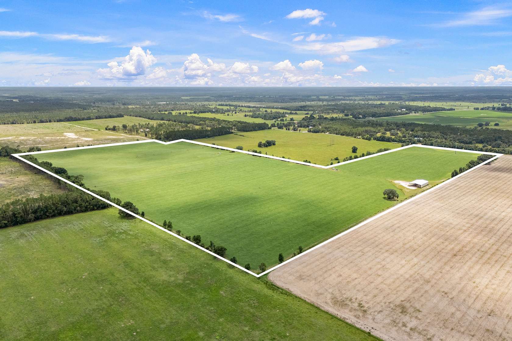 98 Acres of Agricultural Land for Sale in Newberry, Florida