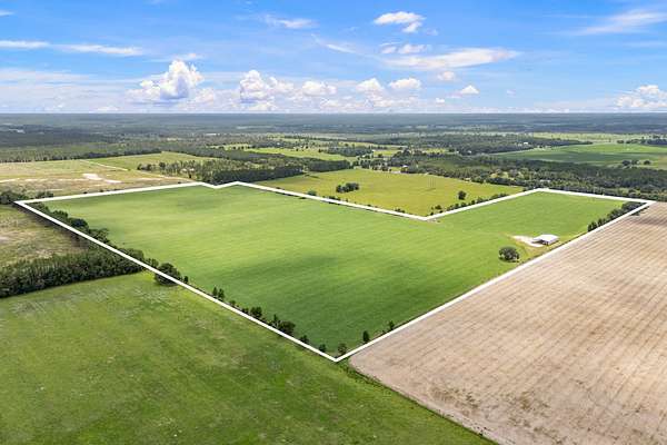 98 Acres of Agricultural Land for Sale in Newberry, Florida