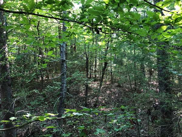 100 Acres of Land for Sale in Rusk, Texas