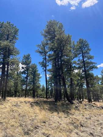 80 Acres of Recreational Land for Sale in Grants, New Mexico