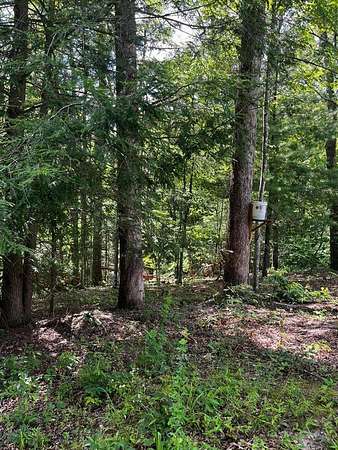 0.46 Acres of Land for Sale in Wellington, Kentucky