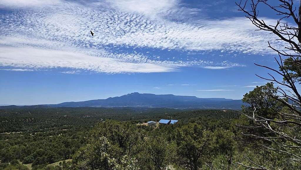35.6 Acres of Recreational Land for Sale in Trinidad, Colorado