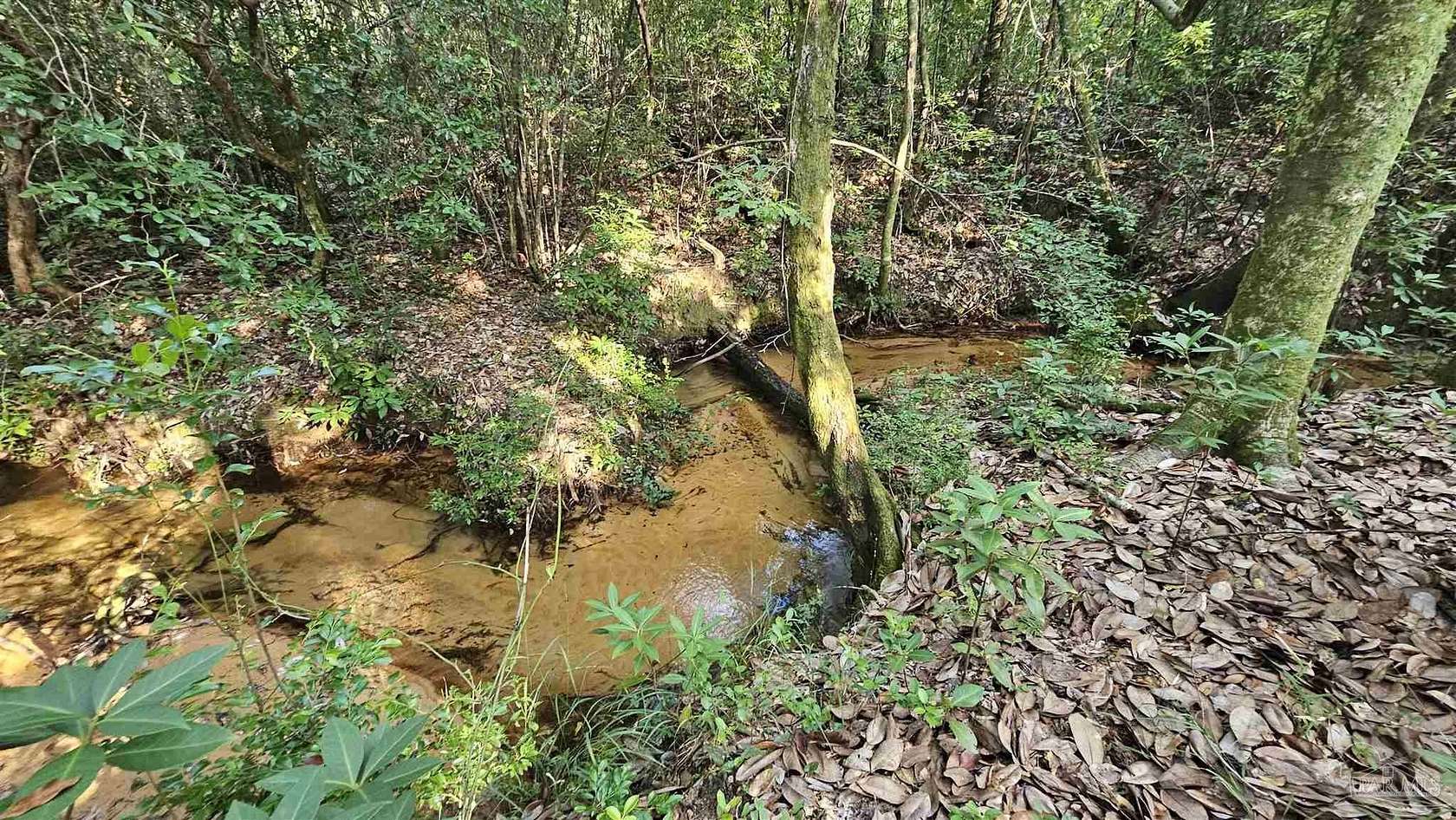 15.5 Acres of Recreational Land for Sale in Pace, Florida