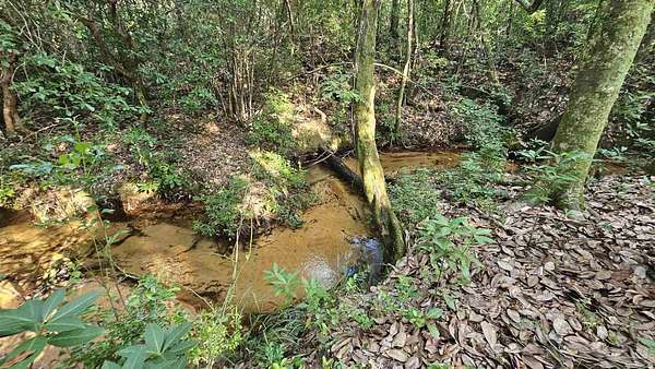 15.5 Acres of Recreational Land for Sale in Pace, Florida