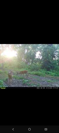 15 Acres of Recreational Land for Sale in Vevay, Indiana