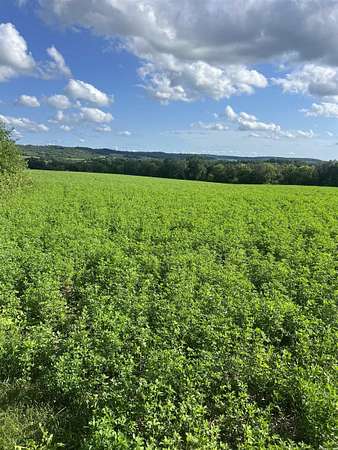 34.6 Acres of Recreational Land & Farm for Sale in Stockton, Illinois