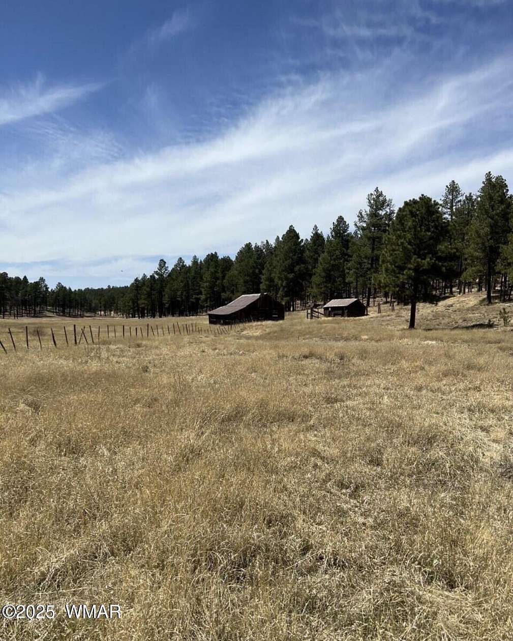 7.7 Acres of Residential Land for Sale in Alpine, Arizona