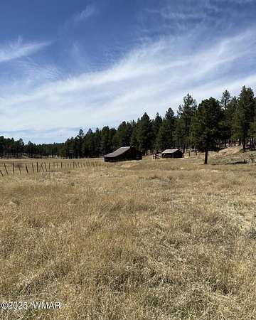 7.7 Acres of Residential Land for Sale in Alpine, Arizona