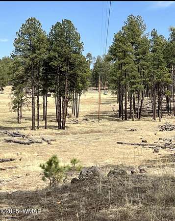 9.5 Acres of Residential Land for Sale in Alpine, Arizona