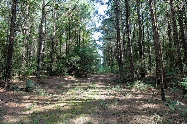 14.6 Acres of Land for Sale in Douglass, Texas