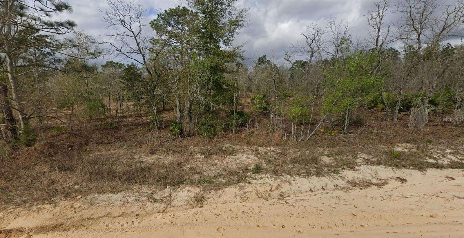 0.22 Acres of Residential Land for Sale in Interlachen, Florida