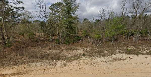 0.22 Acres of Residential Land for Sale in Interlachen, Florida