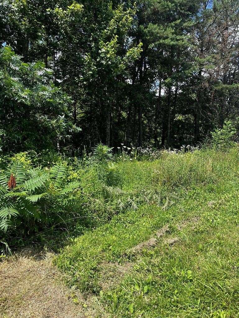 0.46 Acres of Land for Sale in Wellington, Kentucky