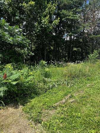 0.46 Acres of Land for Sale in Wellington, Kentucky