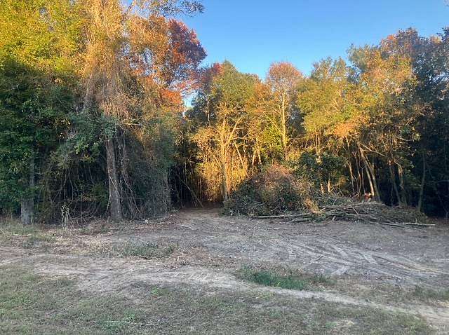 7.1 Acres of Residential Land for Sale in Dozier, Alabama