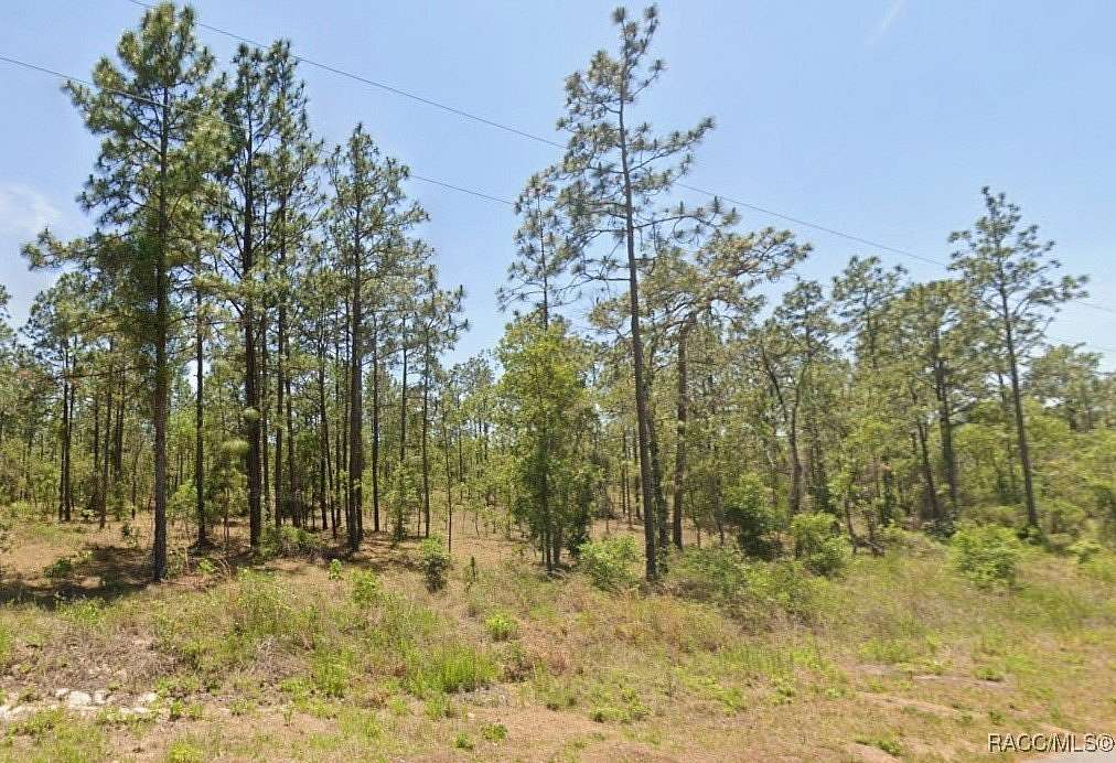 1 Acre of Residential Land for Sale in Dunnellon, Florida