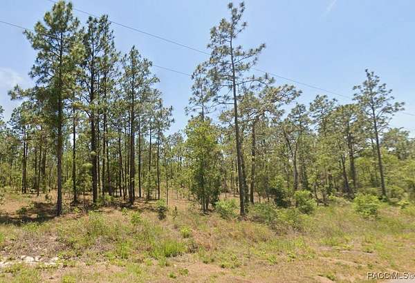 1 Acre of Residential Land for Sale in Dunnellon, Florida