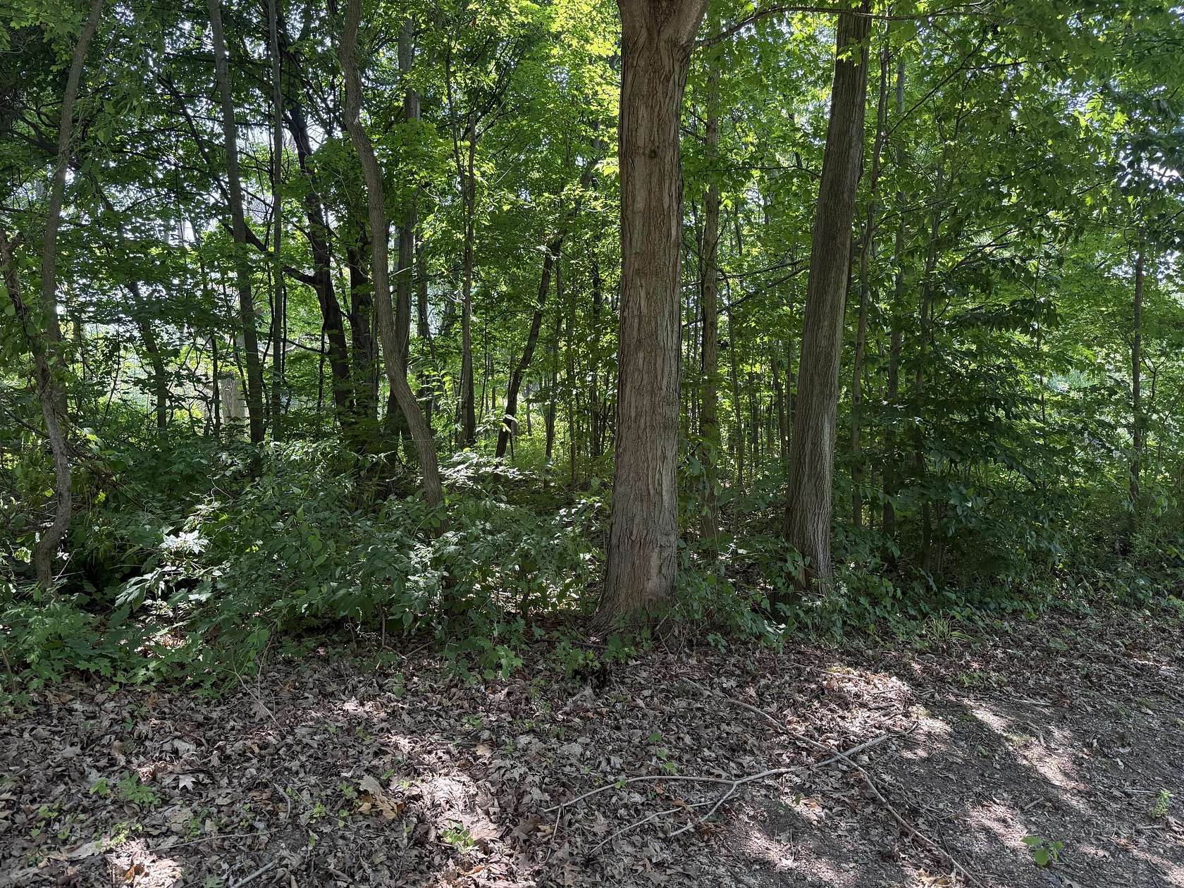 0.3 Acres of Residential Land for Sale in Coloma, Michigan