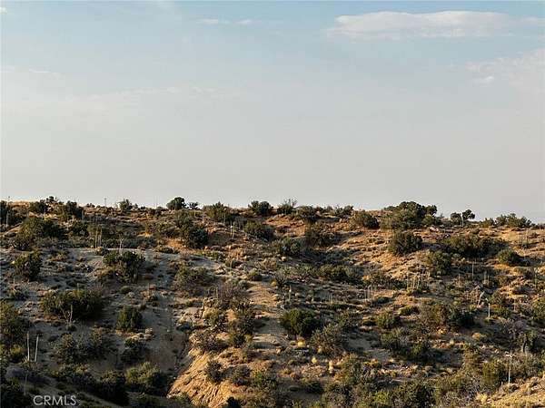 8.3 Acres of Agricultural Land for Sale in Apple Valley, California