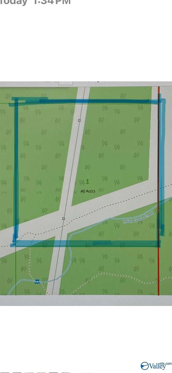 41 Acres of Land for Sale in Mount Vernon, Alabama